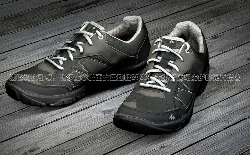 Z6·尊龙(官方认证)网站