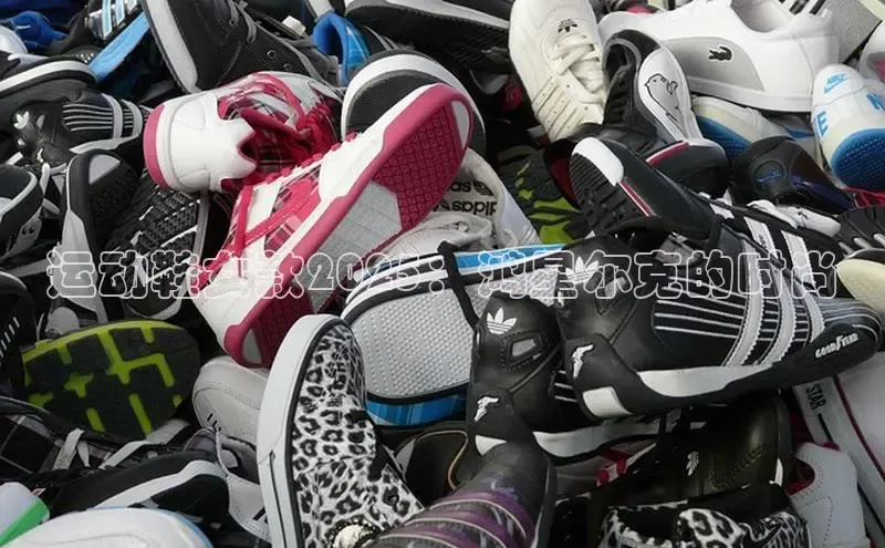 尊龙卡z6官方网站入口