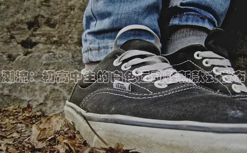 尊龙卡z6官方网站入口