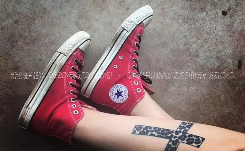 未来趋势：2025年前瞻性分析——老爹鞋在乔丹体育中的全新角色